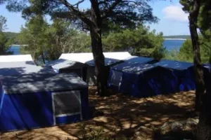 Zebu-Camps Zebu-Camps